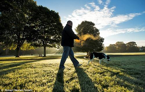 nguồn: http://dulich.nld.com.vn/20121017045637235p0c126/ve-dep-hoang-so-cua-mua-thu-nuoc-anh.htm